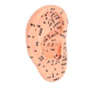 Lurrose Detailed PVC Acupuncture Ear Model with No Fading for Teaching Aid and Practical Massage Tool, for Training Material and Reflexology Ear Practice in Acupuncture Schools