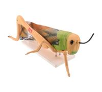 Lurrose Grasshopper Anatomy Teaching Model Pvc Insect Classroom Aid