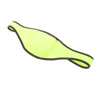 Lurrose Green Neoprene Mic Waist Belt Bag with Stylish Design, Wearable Under Clothes, for Exercise Instructors and Outdoor Microphone Use, Making Voice Clearer and Louder