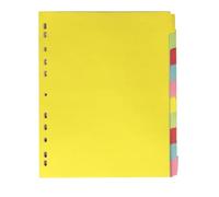 Lurrose Index with 11 Holes, Assorted Colour Tabs A4 Classified Labels 12pcs Reusable Reusable Reusable Reusable Reusable Reusable Plastic Binder Index Dividers for Quick Reference and