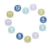 Lurrose Milestone Stickers Photo Sticker Assorted Colour Paper Commemorating Baby's First Year Recording Baby's Milestones Photo Props for Boys and Girls
