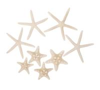 Lurrose Natural Decorations 3.5 Inch Coastal Aquarium Ornaments for Diy Drift Bottle Crafts Home and Fish Tank Decor