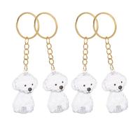 Lurrose Pet Hair Keepsake Keyring Memorial Ornament Abs Capsule Design Dog Hair Keychain 4pcs with Dustproof Seal Technology Portable Lightweight for Dog Lovers