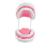 Lurrose Portable Dental and Oral Teaching Model with Realistic PVC Structure and Roots for Students Cleaning Practice and Educational Training at Home