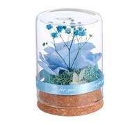 Lurrose Preserved Immortal Rose Glass Dome Decoration, Eternal Flower Glass Cover in Sky Blue, Valentine'S Day Floral Display for Home and Desk