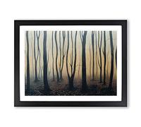 Lush Forest H1022 Framed Print for Living Room Bedroom Home Office Décor, Wall Art Picture Ready to Hang, Black A2 Frame (64 x 46 cm)