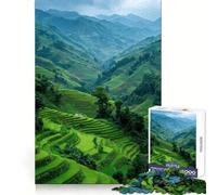 Lush Green Rice Terraces Landscape Jigsaw for Adults 1000 Pieces Unwind Game Rich Color Enjoyable Challenge Art Display (38x26cm)
