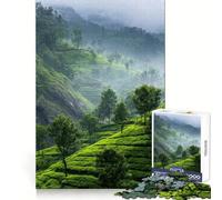Lush Green Tea Plantation Landscape Jigsaw for Adults 1000 Pieces Unwind Game Rich Color Enjoyable Challenge Art Display (50x75cm)