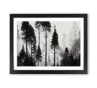 Lush Pine Tree Forest Framed Print | A3 Black Framed Wall Art | Ready to Hang | Modern Floral Picture | Living Room Bedroom Lounge Office