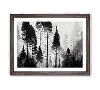 Lush Pine Tree Forest H1022 Framed Print for Living Room Bedroom Home Office Décor, Wall Art Picture Ready to Hang, Walnut A3 Frame (46 x 34 cm)