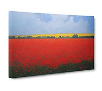 Lush Poppy Field Flowers Canvas Print | Gallery Wrapped 30mm Frame Wall Art | 30x20 inches | Ready to Hang | Contemporary Floral Picture | Living Room Bedroom Lounge Office
