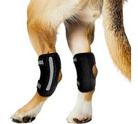 Lushnessu Dog Knee Brace for Rear Leg Torn ACL, Canine Rear Hock Joint Support, Joint Injury and Sprain Protection, Removable Design, Comes with 2 Spring Bars and 2 Steel Bars (XL Pair)