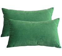 Lutanky Velvet Cushion Covers (Pack of 2) Lovely Rectangle Throw Pillow Cases Soft Solid Decorative Pillow Covers for Sofa Bedroom Car 12x20 Inch 30 x 50 cm (green, 2 Pieces)