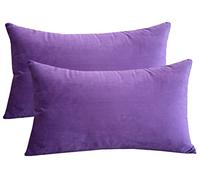 Lutanky Velvet Cushion Covers (Pack of 2) Lovely Rectangle Throw Pillow Cases Soft Solid Decorative Pillow Covers for Sofa Bedroom Car 12x20 Inch 30 x 50 cm (violet 1, 2 Pieces)