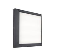 Lutec 5102101118 HELENA 14.8W IP54 LED Wall or Ceiling Light 4000K - Dark Grey