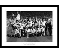 Luton Town 1988 League Cup Final Team Framed 46x30cm Photo Memorabilia