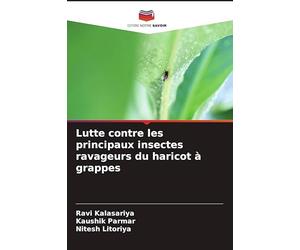 Lutte contre les principaux insectes ravageurs du haricot à grappes