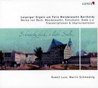 Lutz:Schmeding - LEIPZIGER ORGELN
