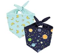 Luvable Friends Dog Reversible Pet Dog and Cat Bandana Bibs 2pk, Banana Space, One Size