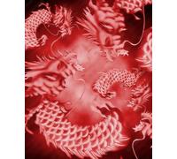 Lux Rosa Early 2000s Y2K Backdrop - Return of The Dragon Red - 90s Old School Airbrush Glamour Shots Photo Prop, XL 5 ft x 6.5 ft Photography Studio Background Birthday Banner Prop