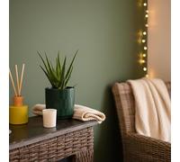 Luxe Leaf Aloe Vera Plant in Forest Ceramic Pot - Houseplant with Decorative Pot Included