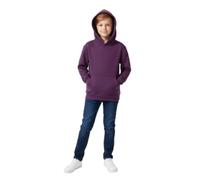 LUXFAB Kids Plain Pullover Hoodie - Unisex Fleece Sweatshirt, Long-Sleeve PE School Jumper for Boys and Girls, Ages 7-13 Years, Casual Fashion (UK, Age, 9 Years, Regular, Purple)