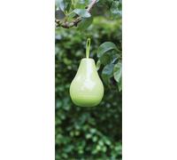Luxform Solar Pear Light 96068 (Each)