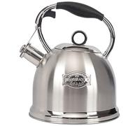 LUXGRACE Tea Kettle for Stovetop, Food Grade Stainless Steel Water Kettle, Tea Pot for Home & Kitchen, 2.8 L, T12-SILVER