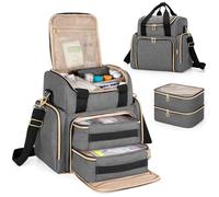 Luxja Large Medicine Bag with 2 Removable Cases, Medicine Storage Bag with Multiple Storage Sections (Suitable for Travel or Home), Grey