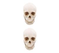 Luxshiny 2pcs Detachable Human Skull Model Realistic Scale Anatomy Teaching Tool for Education and Art Study