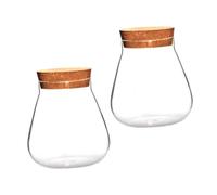 Luxshiny 2pcs Mini Glass Vases with Cork Stoppers, Small Hydroponic Terrarium Bottles for Succulent Plants and Micro Landscape, Creative Decorative Storage Pots for Indoor Gardening
