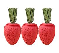 Luxshiny 3pcs Small Strawberry Hamster Chew for Teeth Cleaning, Natural Pet Accessories for Rabbit, Chinchilla, and Small Animal Biting and Nibbling