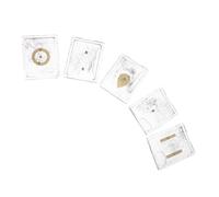 Luxshiny 5 Sets Iron Fillings Science Experiment Kit for Student Classroom and Physics Lab with Plastic and Iron Materials Providing Tangible Electric and Magnetic Field Visuals for Physics