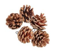 Luxshiny 5Pcs Natural Pine Cone Bird Hanging Chewing for Large Birds Parakeets Cage Accessories Pet Parrot Foraging