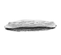 Luxshiny Bark Pattern Glass Serving Tray Long Rectangular Dessert Plate in Smoke Grey, Glacier Texture Fruit and Snack Tray for Home Dining and Party Use