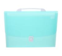 Luxshiny Document Organizer File Folder Lightweight Pp Material A4 with 6 Compartments Accordion File Bag Multipurpose Document Holder with Beautiful Appearance for Office and Home Use