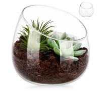 Luxshiny Glass Candy Jar with Slanted Mouth 4.72In Transparent Round Terrarium Planter Adds Natural Atmosphere for Indoor Succulent Plants and Moss on Desk