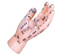 Luxshiny Hand Simulation Model for Reflexology and Acupuncture Training, Educational Hand Massage Model with Precise Locations for Tcm Instruction and Therapy