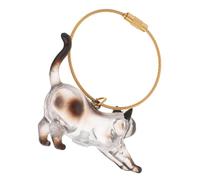Luxshiny Transparent Cat Hair Storage Keychain Versatile Pet Whisker Keepsake Capsule Pendant Cute Siamese Cat Hair Organizer for First Haircut Souvenirs