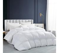 Luxurious White Solid Heavy Weight, Queen Size Goose Feathers Down Comforter for Winter Weather Duvet Insert, Premium Baffle Box, 100% Egyptian Cotton Cover, 65 oz. Fill Weight