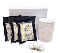 Luxury Botanical Wax Melt & Burner Gift Set for Home Aromatherapy - Hand-Poured Soy Wax Melt Bags with Premium Fragrance Oils, Dried Botanicals, Elegant Dragonfly Ceramic Burner & Tealight Candles