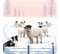 Luxury Christmas Card Pack - Flock Of Sheep