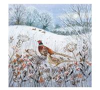 Luxury Christmas Cards (MG-349206 XPE) - Pheasants - Pack of 8 Cards - From The Christmas Fayre Range
