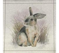 Luxury Cotton Rich Digital Printed Linen Fabric Wild Life & Pets by The Metre. (Rabbit Grass - Panel Option) (Half METRE or 3 Panels)