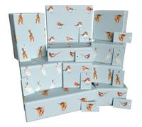 Luxury ECO Gift Wrap - 10 sheets/tags - Blue Winter Ten Pack - Birthday - Recycled & Recyclable Wrapping Paper - Re-wrapped