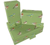 Luxury ECO Gift Wrap - 3 sheets/tags - Green Native Birds - Birthday - Recycled & Recyclable Wrapping Paper - Re-wrapped