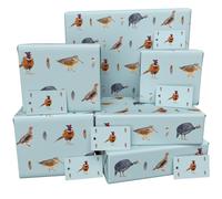 Luxury ECO Gift Wrap - 6 sheets/tags - Blue Game Birds - Birthday - Recycled & Recyclable Wrapping Paper - Re-wrapped