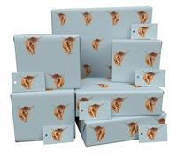 Luxury ECO Gift Wrap - 6 sheets/tags - Winter Highland Cows Blue - Birthday - Recycled & Recyclable Wrapping Paper - Re-wrapped