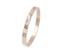 Luxury Gold-Plated Stainless Steel Simple Style Love Bangle Bracelet for Women Men (Rose-19)