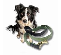 Luxury Handcrafted Dog Lead, Sage Green Cord & Black Leather for Medium Dogs & Puppies, Made in UK, Vegetable-Dyed Italian Leather and Wide Wale Corduroy, Designer Pet Leash (Medium)